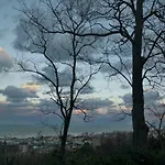 Ginko Apartman Pesaro